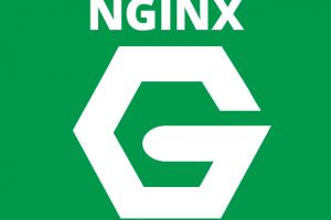Nginx logo