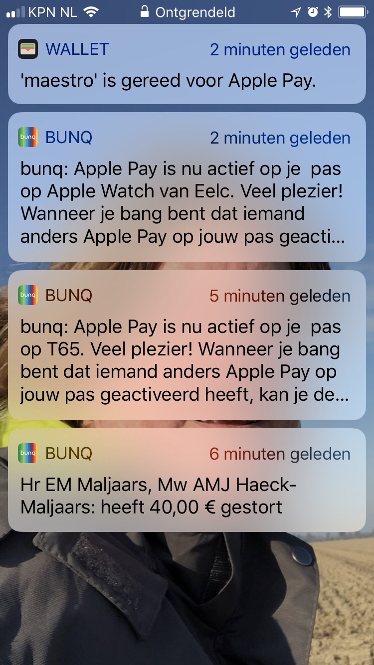 screenshot apple pay on iphone