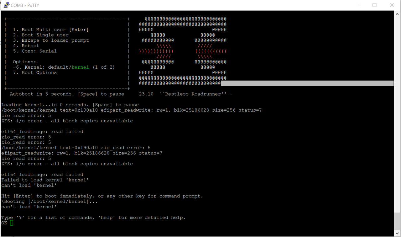 ZFS errors on the console